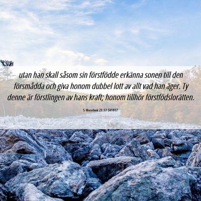 Picture 06 - 5 Mosebok 21:17 SV1917 - utan han skall såsom sin förstfödde erkänna - Bible Verse Picture