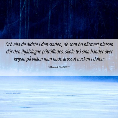 Picture 06 - 5 Mosebok 21:6 SV1917 - Och alla de äldste i den staden, de som bo - Bible Verse Picture