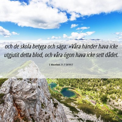 Picture 06 - 5 Mosebok 21:7 SV1917 - och de skola betyga och säga: »Våra händer - Bible Verse Picture