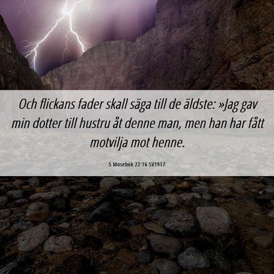 Picture 06 - 5 Mosebok 22:16 SV1917 - Och flickans fader skall säga till de äldste: - Bible Verse Picture
