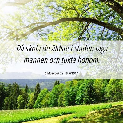 Picture 06 - 5 Mosebok 22:18 SV1917 - Då skola de äldste i staden taga mannen och - Bible Verse Picture