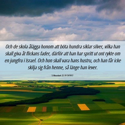Picture 06 - 5 Mosebok 22:19 SV1917 - Och de skola ålägga honom att böta hundra - Bible Verse Picture