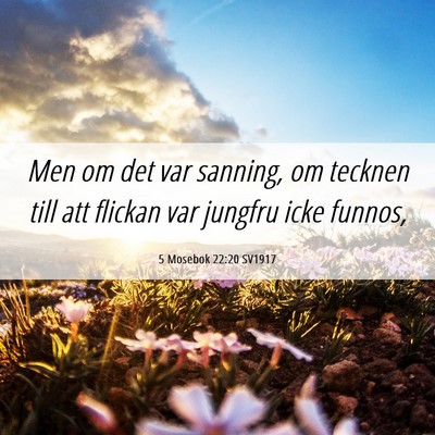 Picture 06 - 5 Mosebok 22:20 SV1917 - Men om det var sanning, om tecknen till att - Bible Verse Picture