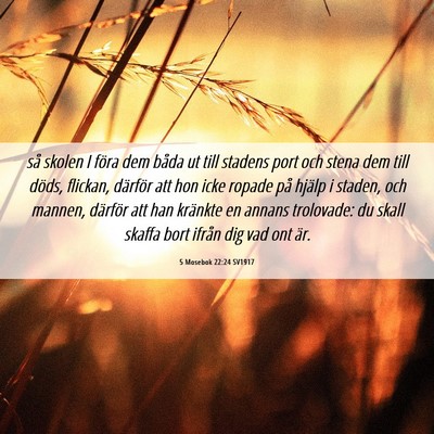 Picture 06 - 5 Mosebok 22:24 SV1917 - så skolen I föra dem båda ut till stadens port - Bible Verse Picture