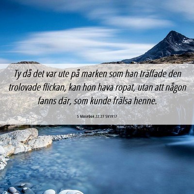 Picture 06 - 5 Mosebok 22:27 SV1917 - Ty då det var ute på marken som han träffade - Bible Verse Picture