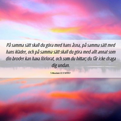 Picture 06 - 5 Mosebok 22:3 SV1917 - På samma sätt skall du göra med hans åsna, - Bible Verse Picture