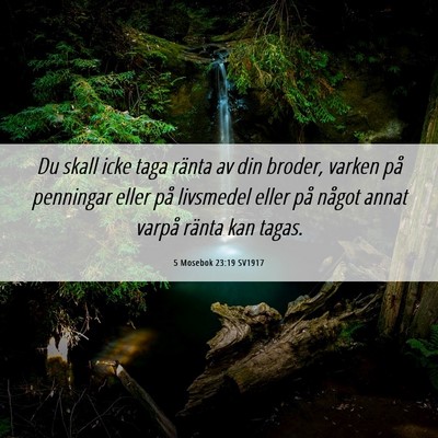 Picture 06 - 5 Mosebok 23:19 SV1917 - Du skall icke taga ränta av din broder, varken - Bible Verse Picture