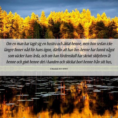 Picture 06 - 5 Mosebok 24:1 SV1917 - Om en man har tagit sig en hustru och äktat - Bible Verse Picture