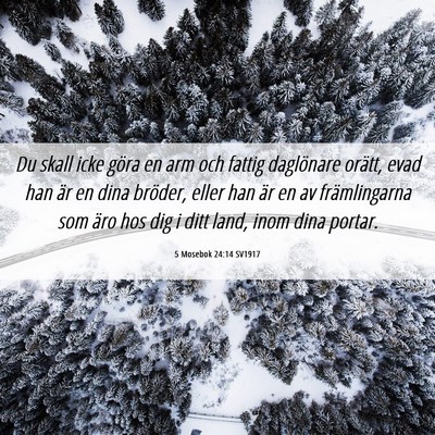 Picture 06 - 5 Mosebok 24:14 SV1917 - Du skall icke göra en arm och fattig daglönare - Bible Verse Picture