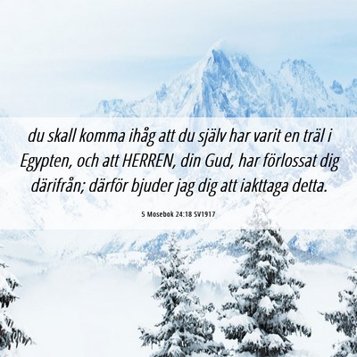 Picture 06 - 5 Mosebok 24:18 SV1917 - du skall komma ihåg att du själv har varit en - Bible Verse Picture