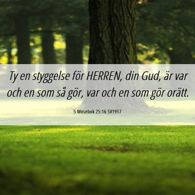 Picture 06 - 5 Mosebok 25:16 SV1917 - Ty en styggelse för HERREN, din Gud, är var och - Bible Verse Picture