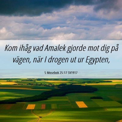 Picture 06 - 5 Mosebok 25:17 SV1917 - Kom ihåg vad Amalek gjorde mot dig på vägen, - Bible Verse Picture