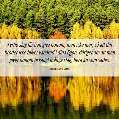 Picture 06 - 5 Mosebok 25:3 SV1917 - Fyrtio slag får han giva honom, men icke mer, - Bible Verse Picture