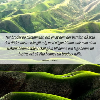 Picture 06 - 5 Mosebok 25:5 SV1917 - När bröder bo tillsammans, och en av dem dör - Bible Verse Picture
