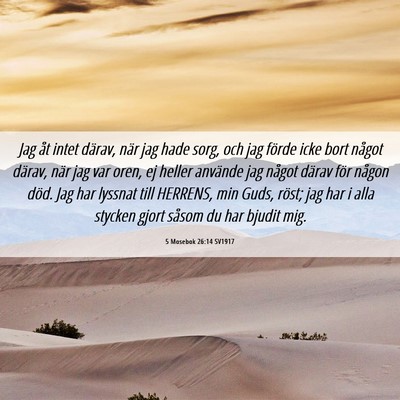 Picture 06 - 5 Mosebok 26:14 SV1917 - Jag åt intet därav, när jag hade sorg, och jag - Bible Verse Picture