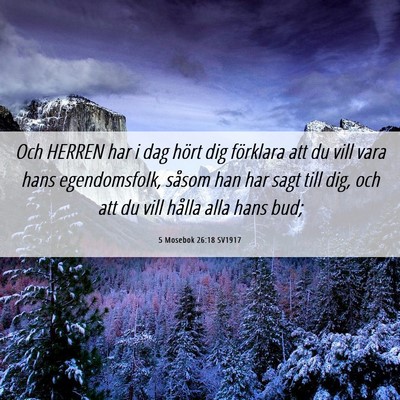 Picture 06 - 5 Mosebok 26:18 SV1917 - Och HERREN har i dag hört dig förklara att du - Bible Verse Picture