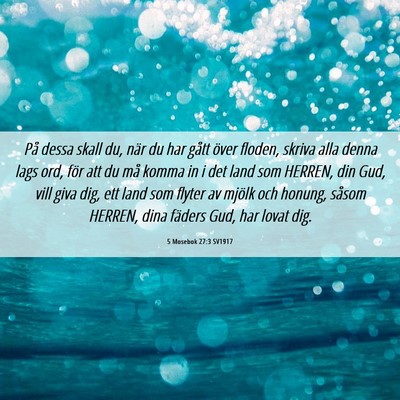 Picture 06 - 5 Mosebok 27:3 SV1917 - På dessa skall du, när du har gått över - Bible Verse Picture
