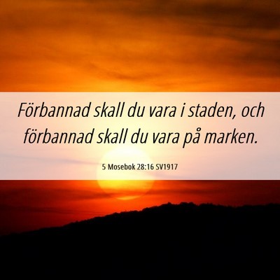 Picture 06 - 5 Mosebok 28:16 SV1917 - Förbannad skall du vara i staden, och förbannad - Bible Verse Picture