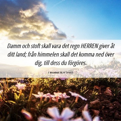 Picture 06 - 5 Mosebok 28:24 SV1917 - Damm och stoft skall vara det regn HERREN giver - Bible Verse Picture