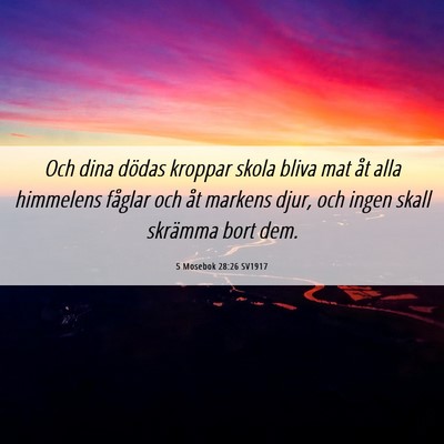 Picture 06 - 5 Mosebok 28:26 SV1917 - Och dina dödas kroppar skola bliva mat åt alla - Bible Verse Picture