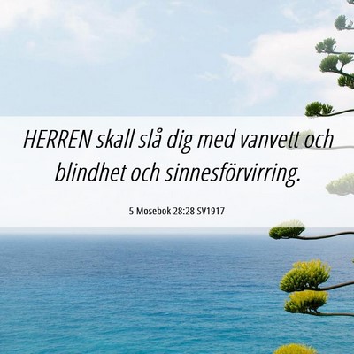 Picture 06 - 5 Mosebok 28:28 SV1917 - HERREN skall slå dig med vanvett och blindhet - Bible Verse Picture