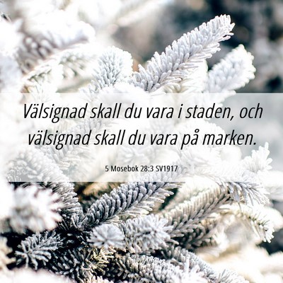 Picture 06 - 5 Mosebok 28:3 SV1917 - Välsignad skall du vara i staden, och välsignad - Bible Verse Picture