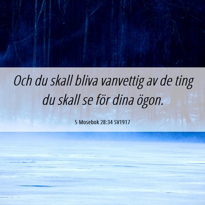 Picture 06 - 5 Mosebok 28:34 SV1917 - Och du skall bliva vanvettig av de ting du skall - Bible Verse Picture