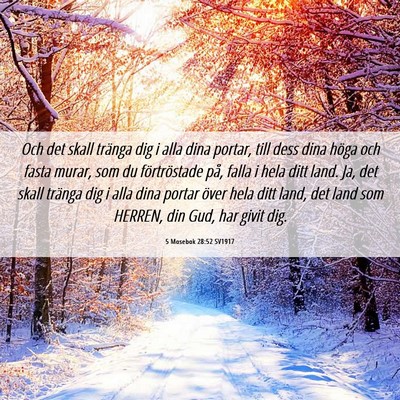 Picture 06 - 5 Mosebok 28:52 SV1917 - Och det skall tränga dig i alla dina portar, - Bible Verse Picture
