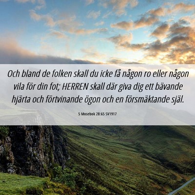 Picture 06 - 5 Mosebok 28:65 SV1917 - Och bland de folken skall du icke få någon ro - Bible Verse Picture