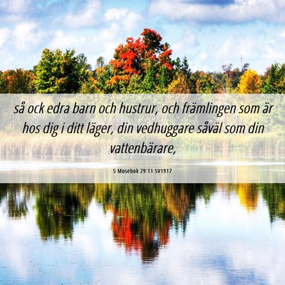 Picture 06 - 5 Mosebok 29:11 SV1917 - så ock edra barn och hustrur, och främlingen - Bible Verse Picture