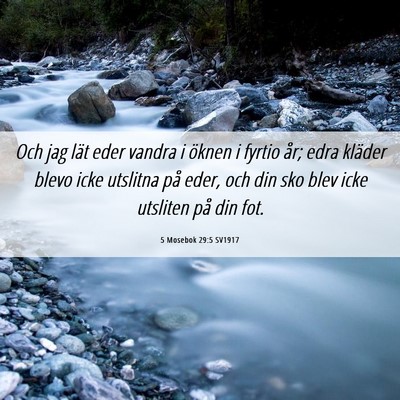 Picture 06 - 5 Mosebok 29:5 SV1917 - Och jag lät eder vandra i öknen i fyrtio år; - Bible Verse Picture
