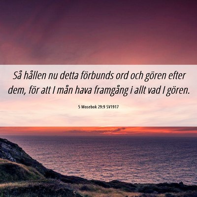 Picture 06 - 5 Mosebok 29:9 SV1917 - Så hållen nu detta förbunds ord och gören - Bible Verse Picture