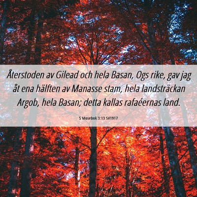 Picture 06 - 5 Mosebok 3:13 SV1917 - Återstoden av Gilead och hela Basan, Ogs rike, - Bible Verse Picture