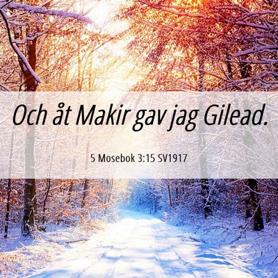 Picture 06 - 5 Mosebok 3:15 SV1917 - Och åt Makir gav jag - Bible Verse Picture