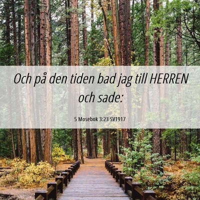 Picture 06 - 5 Mosebok 3:23 SV1917 - Och på den tiden bad jag till HERREN och - Bible Verse Picture