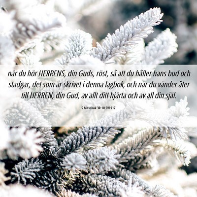 Picture 06 - 5 Mosebok 30:10 SV1917 - när du hör HERRENS, din Guds, röst, så att du - Bible Verse Picture