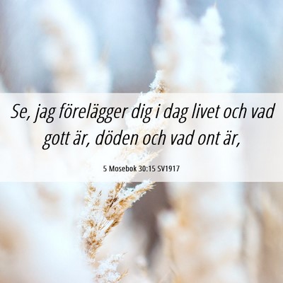 Picture 06 - 5 Mosebok 30:15 SV1917 - Se, jag förelägger dig i dag livet och vad gott - Bible Verse Picture