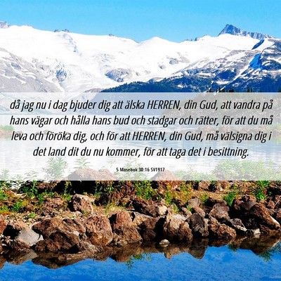 Picture 06 - 5 Mosebok 30:16 SV1917 - då jag nu i dag bjuder dig att älska HERREN, - Bible Verse Picture