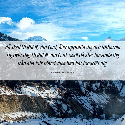Picture 06 - 5 Mosebok 30:3 SV1917 - då skall HERREN, din Gud, åter upprätta dig - Bible Verse Picture
