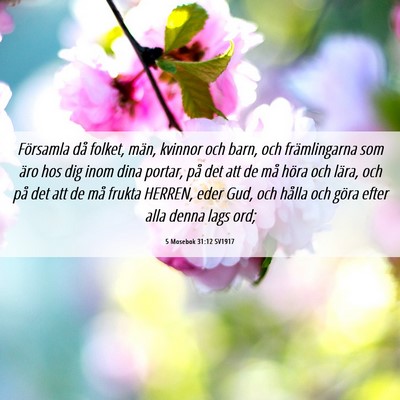 Picture 06 - 5 Mosebok 31:12 SV1917 - Församla då folket, män, kvinnor och barn, och - Bible Verse Picture
