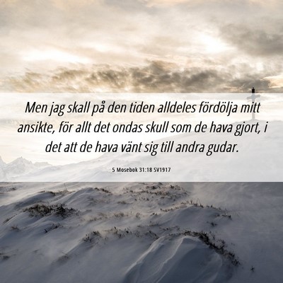 Picture 06 - 5 Mosebok 31:18 SV1917 - Men jag skall på den tiden alldeles fördölja - Bible Verse Picture