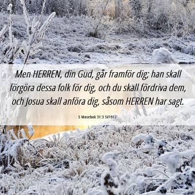 Picture 06 - 5 Mosebok 31:3 SV1917 - Men HERREN, din Gud, går framför dig; han skall - Bible Verse Picture