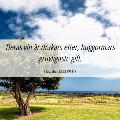 Picture 06 - 5 Mosebok 32:33 SV1917 - Deras vin är drakars etter, huggormars - Bible Verse Picture