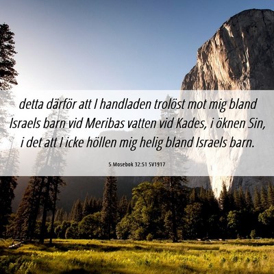 Picture 06 - 5 Mosebok 32:51 SV1917 - detta därför att I handladen trolöst mot mig - Bible Verse Picture