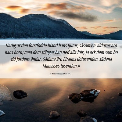 Picture 06 - 5 Mosebok 33:17 SV1917 - Härlig är den förstfödde bland hans tjurar, - Bible Verse Picture