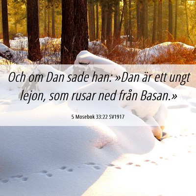 Picture 06 - 5 Mosebok 33:22 SV1917 - Och om Dan sade han: »Dan är ett ungt lejon, - Bible Verse Picture
