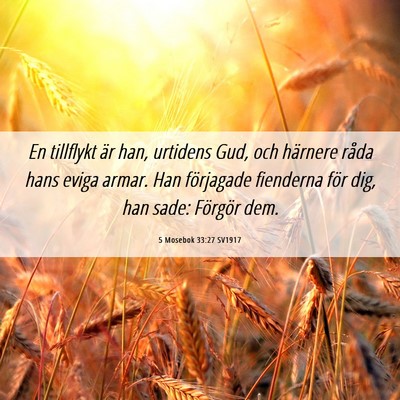 Picture 06 - 5 Mosebok 33:27 SV1917 - En tillflykt är han, urtidens Gud, och härnere - Bible Verse Picture
