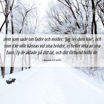 Picture 06 - 5 Mosebok 33:9 SV1917 - dem som sade om fader och moder: 'Jag ser dem - Bible Verse Picture