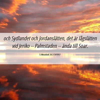 Picture 06 - 5 Mosebok 34:3 SV1917 - och Sydlandet och Jordanslätten, det är - Bible Verse Picture