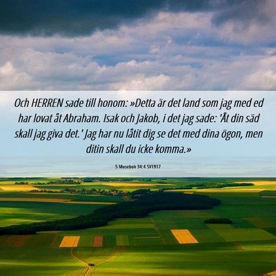 Picture 06 - 5 Mosebok 34:4 SV1917 - Och HERREN sade till honom: »Detta är det land - Bible Verse Picture